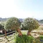 Villa Mireen *