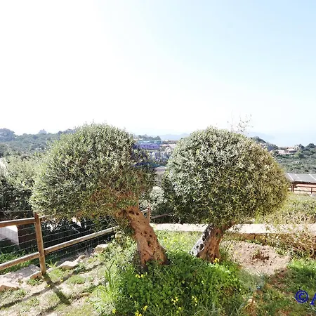 Villa Mireen *